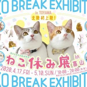 貓咪休假展in 富山 將在北陸初上陸 毛茸茸猫咪們的療癒作品有300件以上作為展示 限定周邊商品 新聞稿自助吧 Newsbuffet